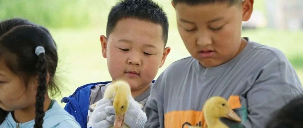 静待花开：格鲁伯自然教育中的长期主义之光